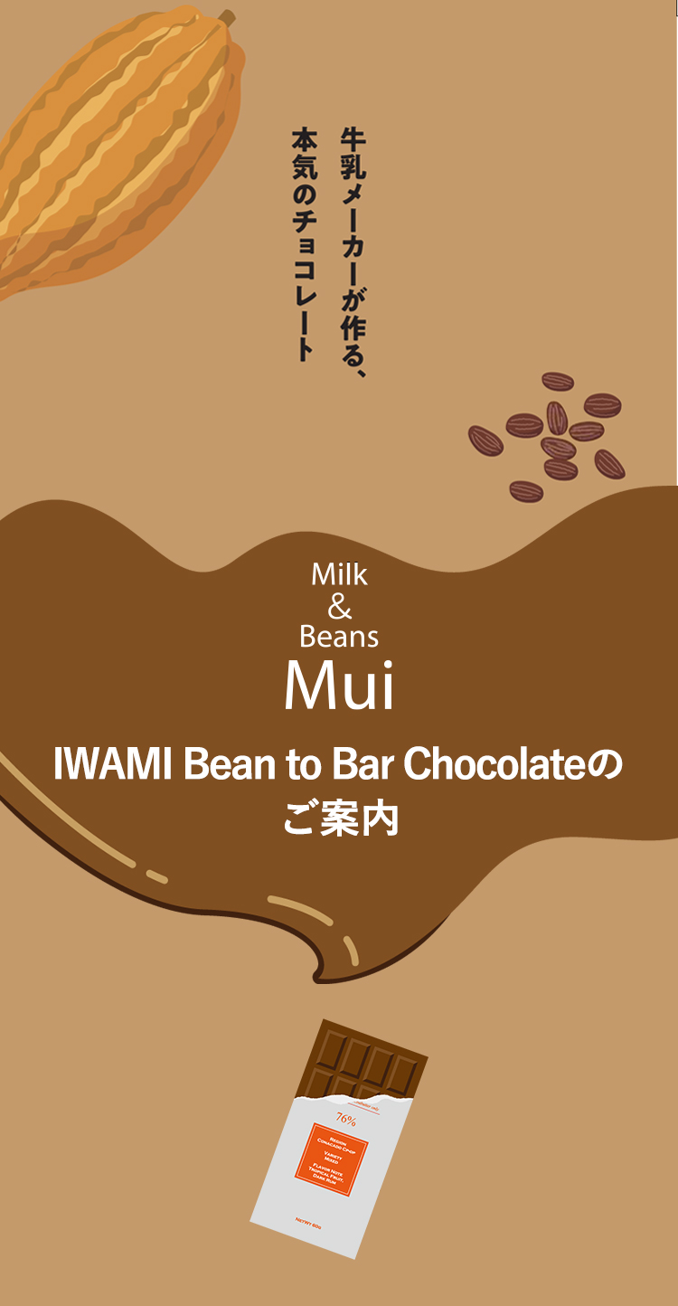 IWAMI Bean to Bar Chocolateのご案内